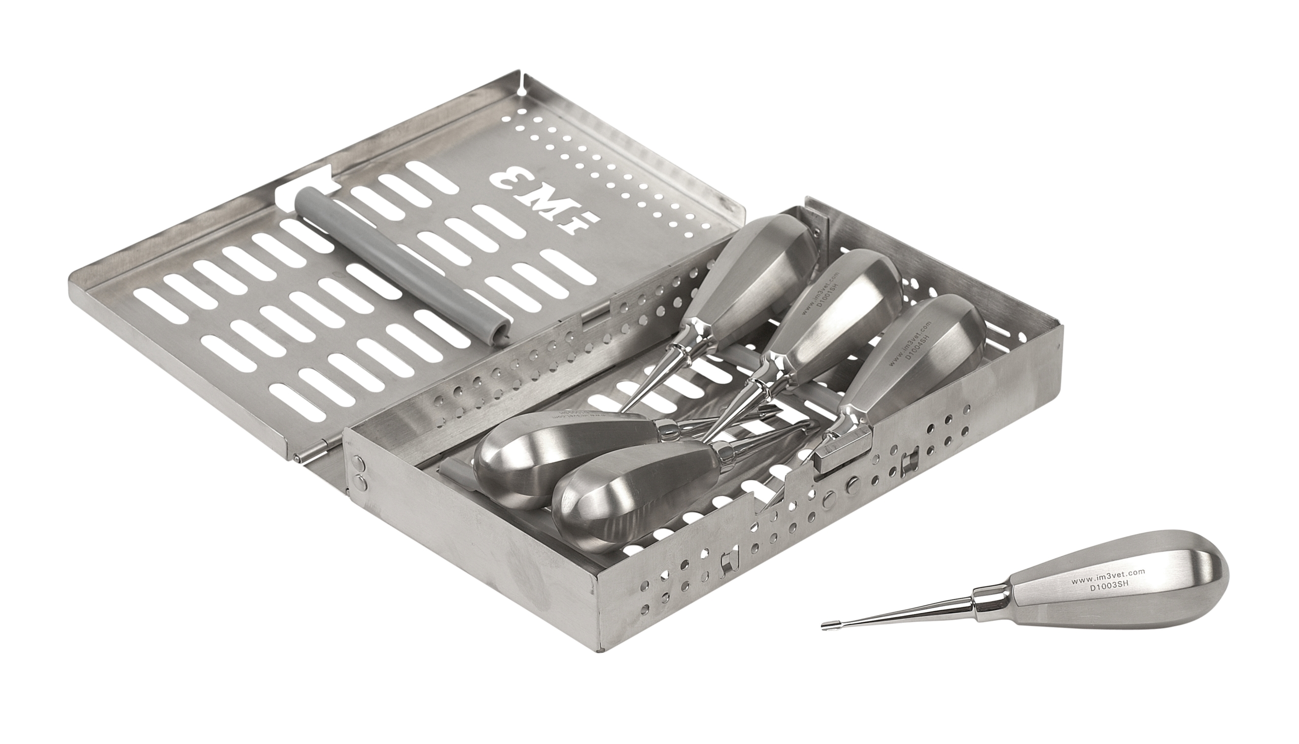 6pc winged elevator set in S/S holder/case (size 1-6mm)