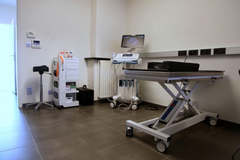 Dierenarts Nelly Mols