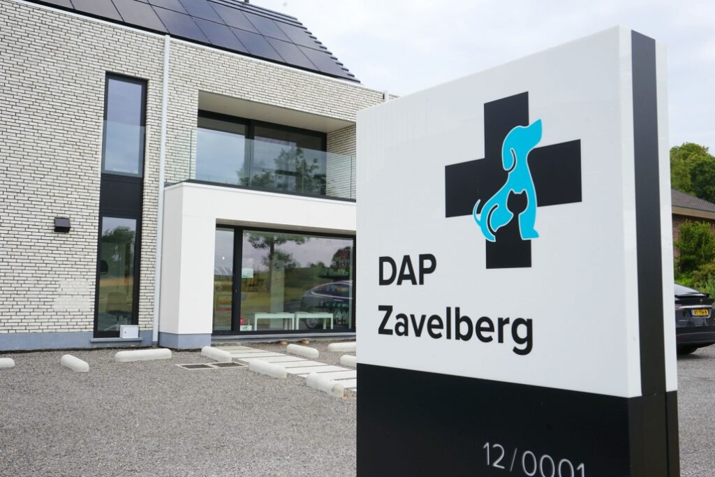 DAP Zavelberg