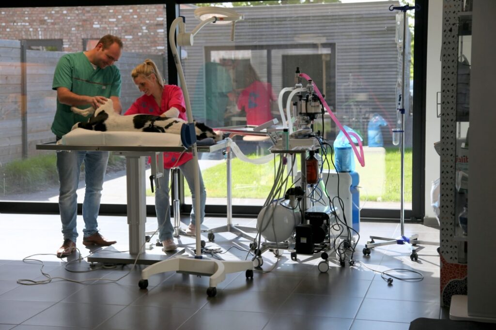 Dierenartsenpraktijk Zandvliet