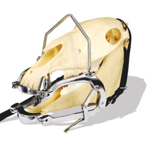 Mondsperder HDE Optimum