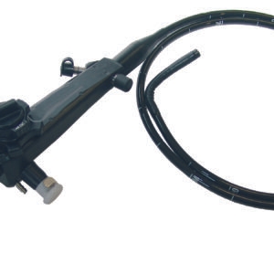 Dr. Fritz gastroscoop paard