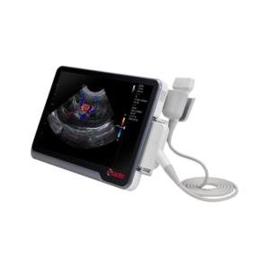 Esaote X1 echografie systeem voor dierenartsen