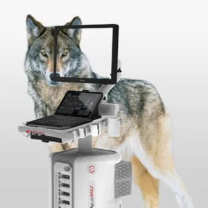 Esaote MyLab Wolf