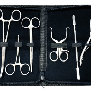 6-delige tandkeelkundige instrumentenset